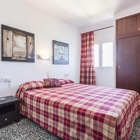 Olivo * Can Picafort (Mallorca)